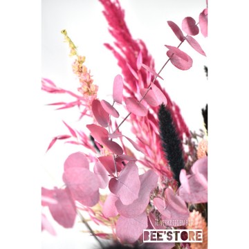 Incollage202110151042591301