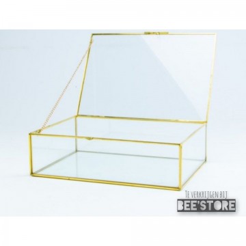 Incollage202110251556347541