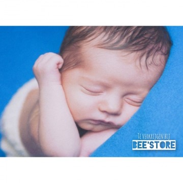 Incollage202112050011413601