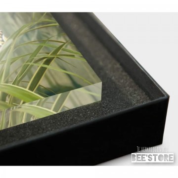 Incollage202112091416244771