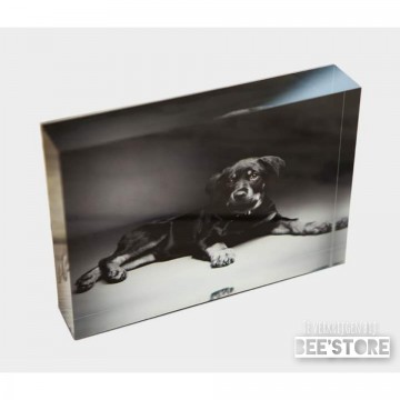 Incollage202112091417086051