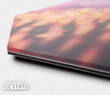 Incollage202112091942346841