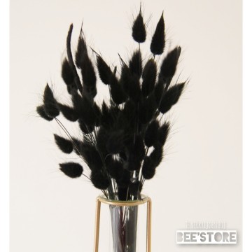 Incollage202201121117501451