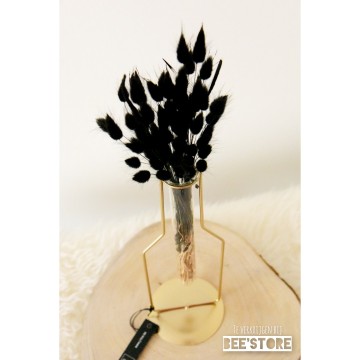 Incollage202201121122005601