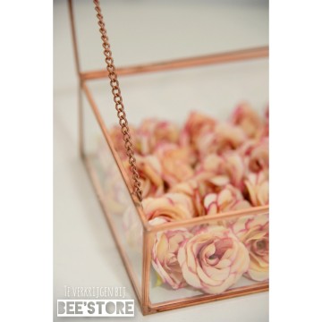 Incollage202201131655211771