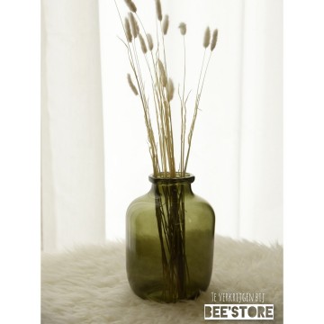 Incollage202201261521501031