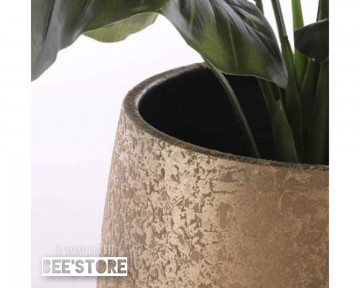 Incollage202202101358452251