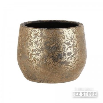 Incollage202202101359296791