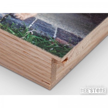 Incollage202210051059351101