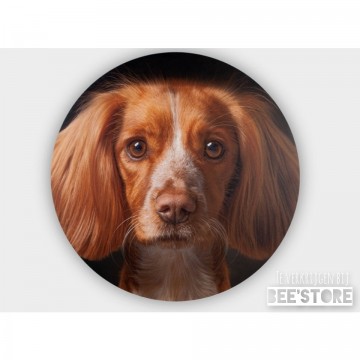 Incollage202210061203039981