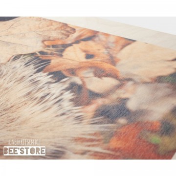 Incollage202210061203346781