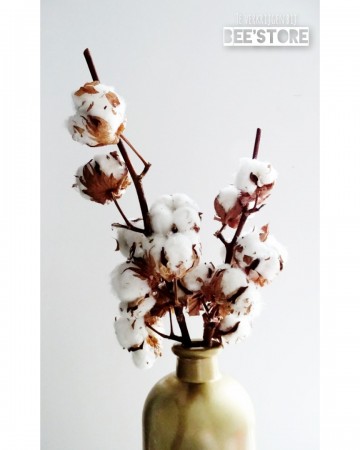 Incollage202211071526030851