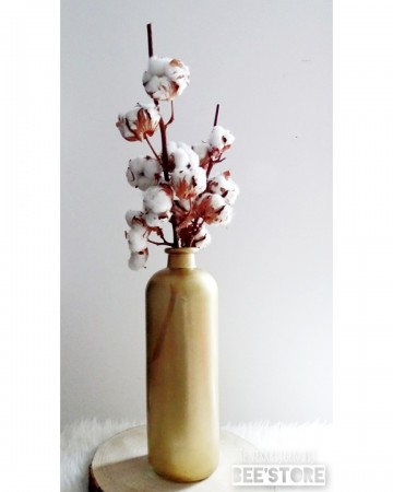 Incollage202211071532505781 0