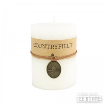 Incollage202211291459542981