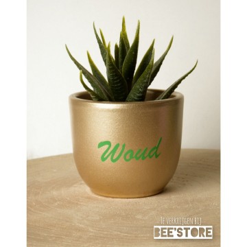 Incollage202301191402533521