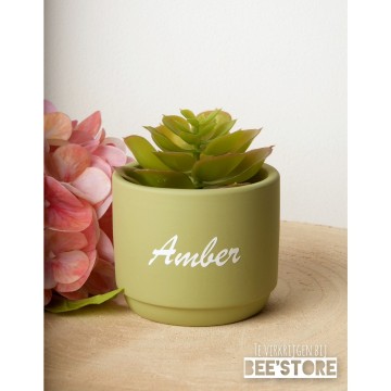 Incollage202301191602498511