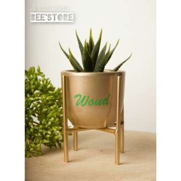 Incollage202301191603533561 0