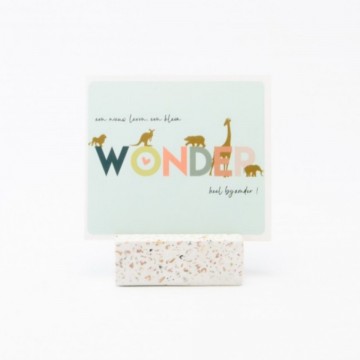 Incollage202301241247416412