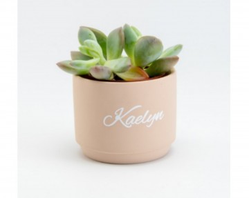 Incollage202301301332097801