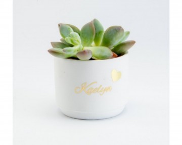 Incollage202301301332244551