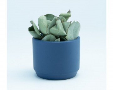 Incollage202301310803109291