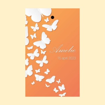 Incollage202302231719407171