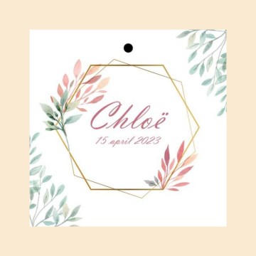 Incollage202302231721356541