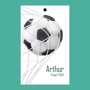 Incollage202302231726243021