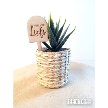 Incollage202303031335531031 0