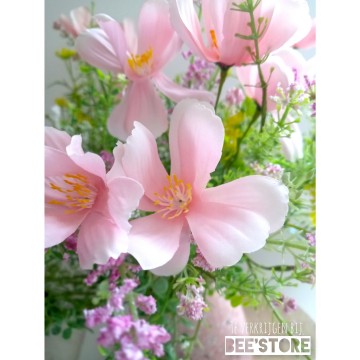 Incollage202304180913134401