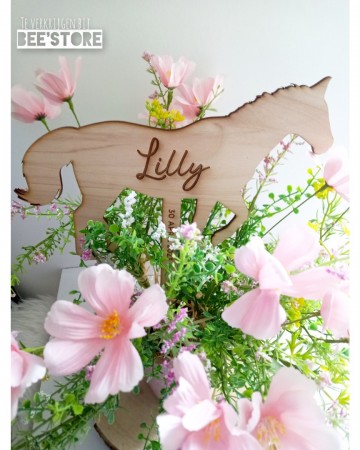 Incollage202304252046067401 1