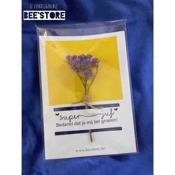 Incollage202305161559569021