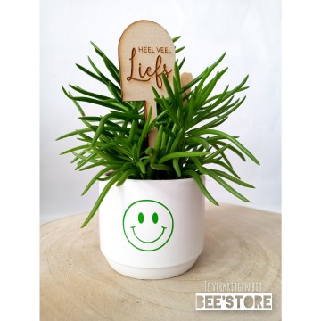 Incollage202306240028512321