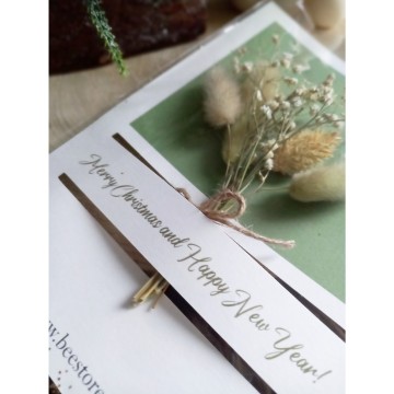 Incollage202311121658268821