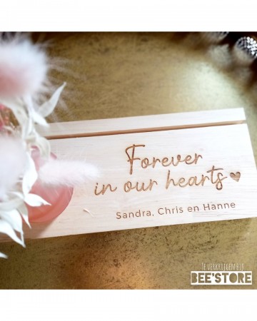 Incollage202311282157565851