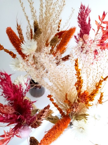 Incollage202312061244337221