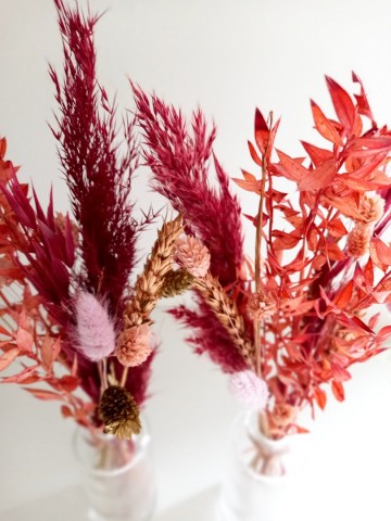 Incollage202312061247356301