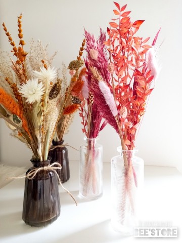 Incollage202312061249353601