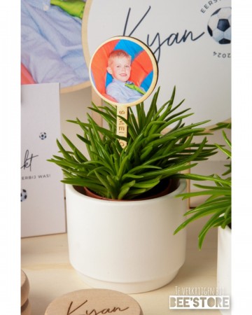 Incollage202401191954363101