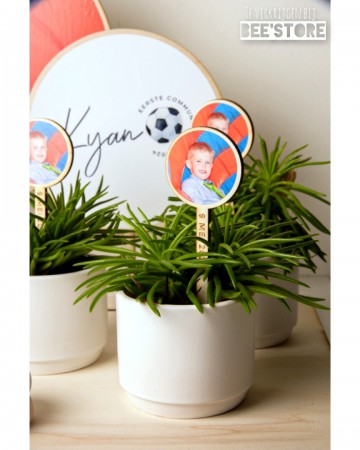 Incollage202401191955338021