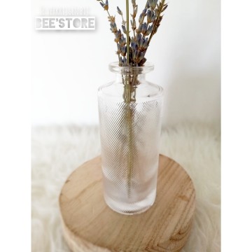 Incollage202403161645095881