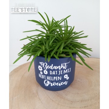 Incollage202405151857096591