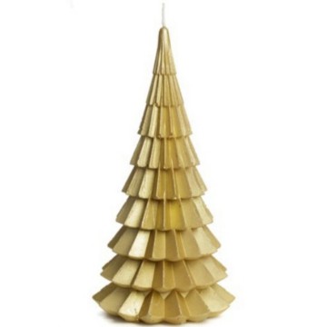 Incollage202410190959145611