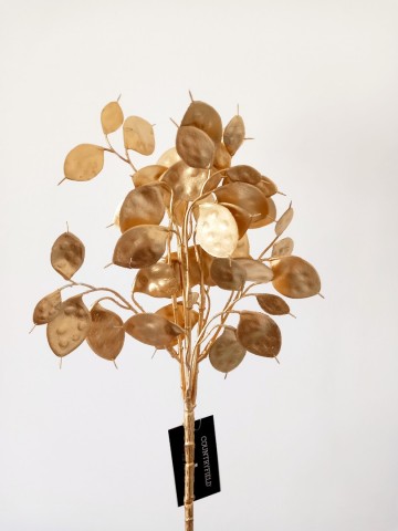 Incollage202410271035042121