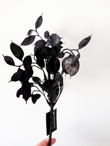 Incollage202410271035428241