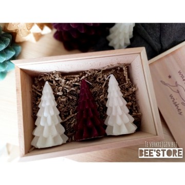 Incollage202411011734302081