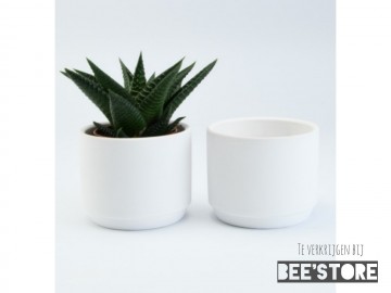 Photocollage202009272325443221