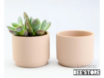 Photocollage202009272335569471