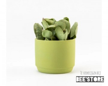 Photocollage202009291823146821