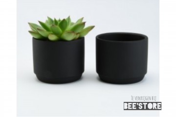 Photocollage202009291840415771